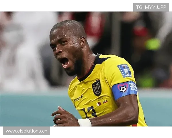 瓦伦西亚球迷抗议持续，俱乐部内部稳定性面临考验